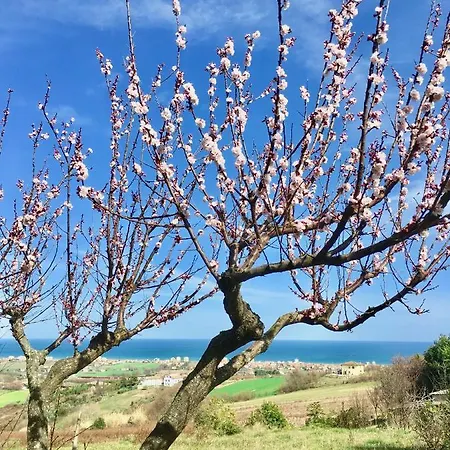 فندق مبيت وإفطار L'oasi Felice *