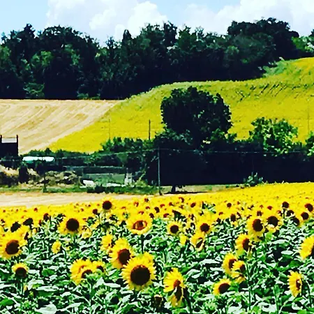 L'oasi Felice فندق مبيت وإفطار San Costanzo