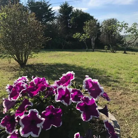 L'oasi Felice * San Costanzo